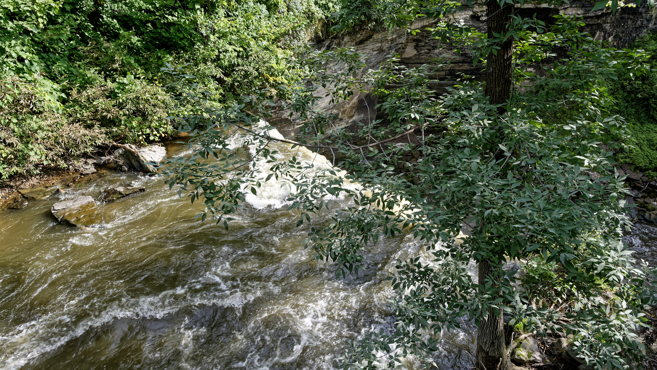 20190801-092456••North Mankato•Minnesota•USA